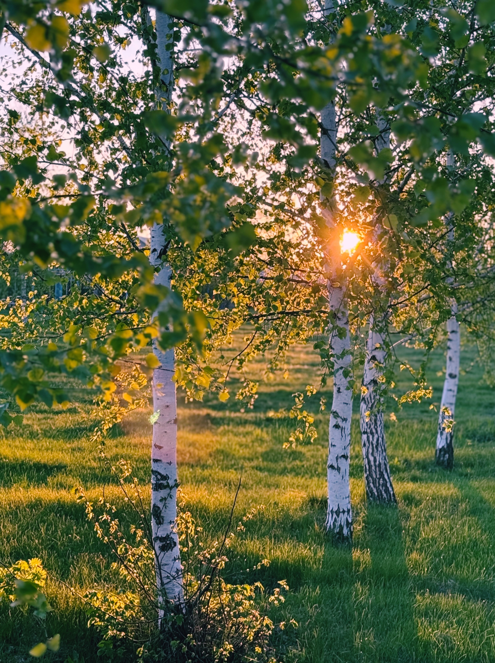 Весенний закат